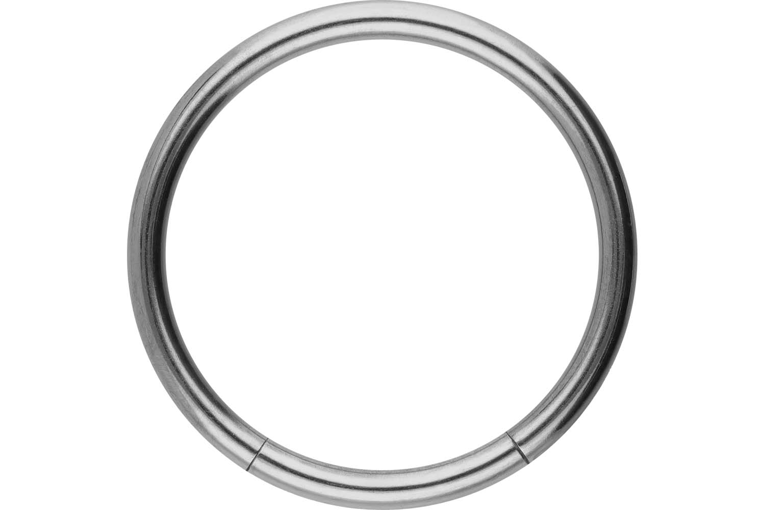 Titan Segmentring von Piercingline